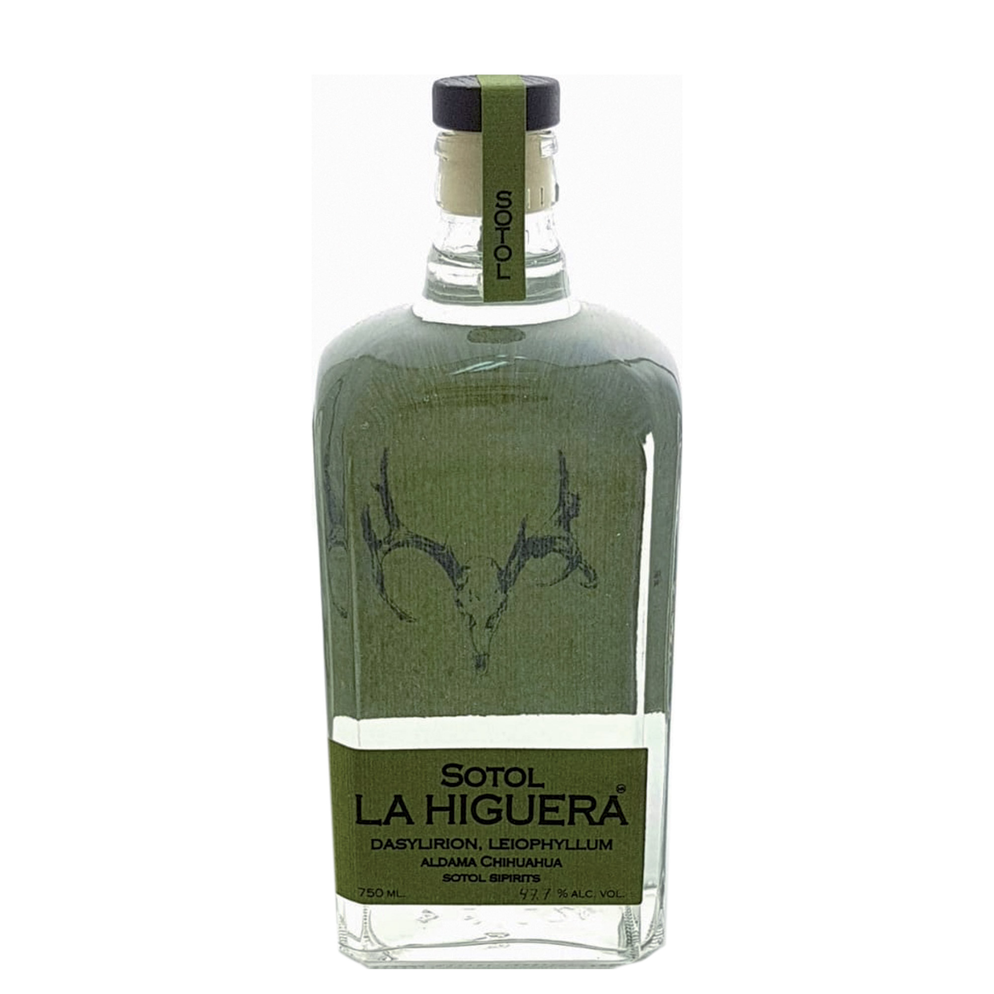 LA HIGUERA LEIOPHYLLUM