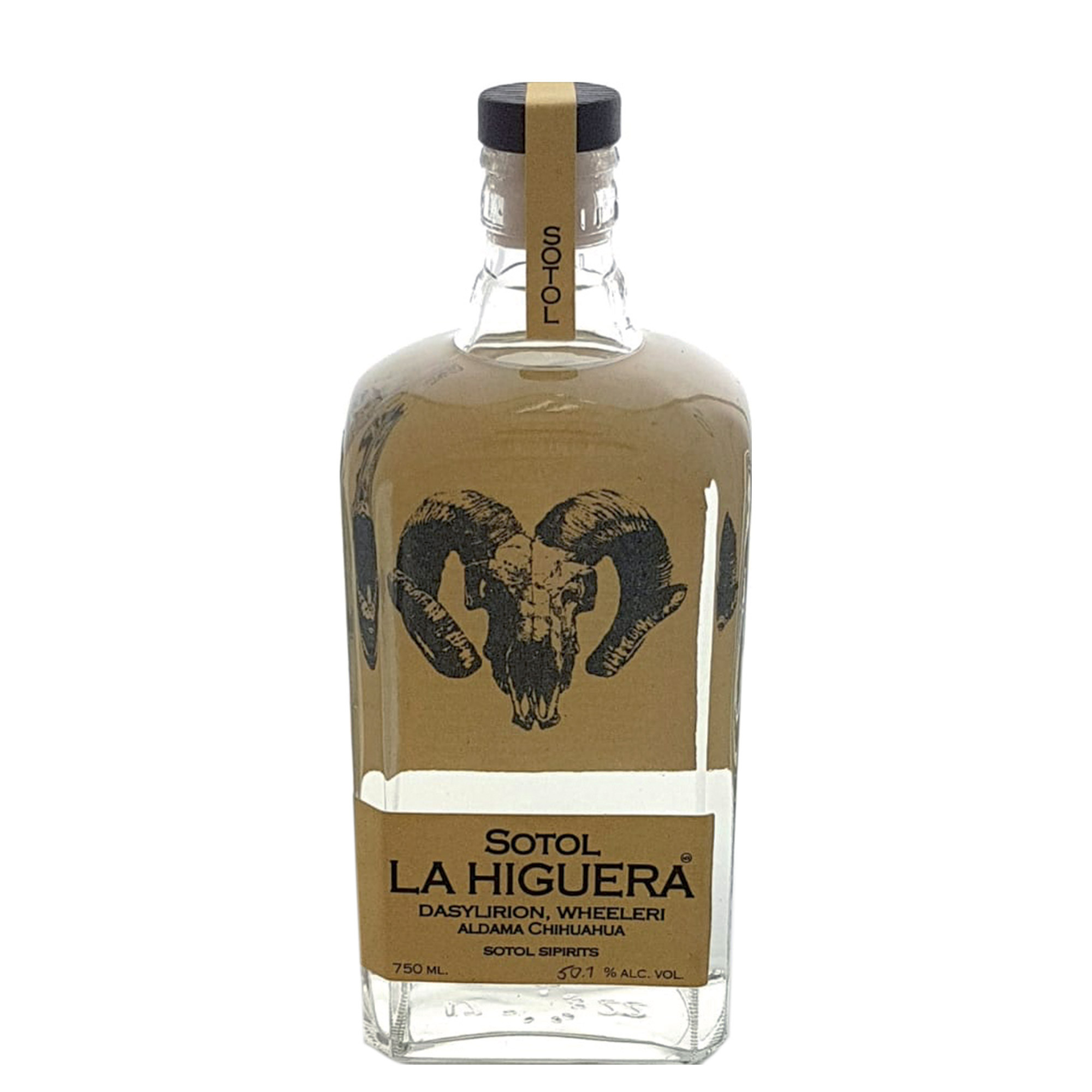 LA HIGUERA WHEELERI