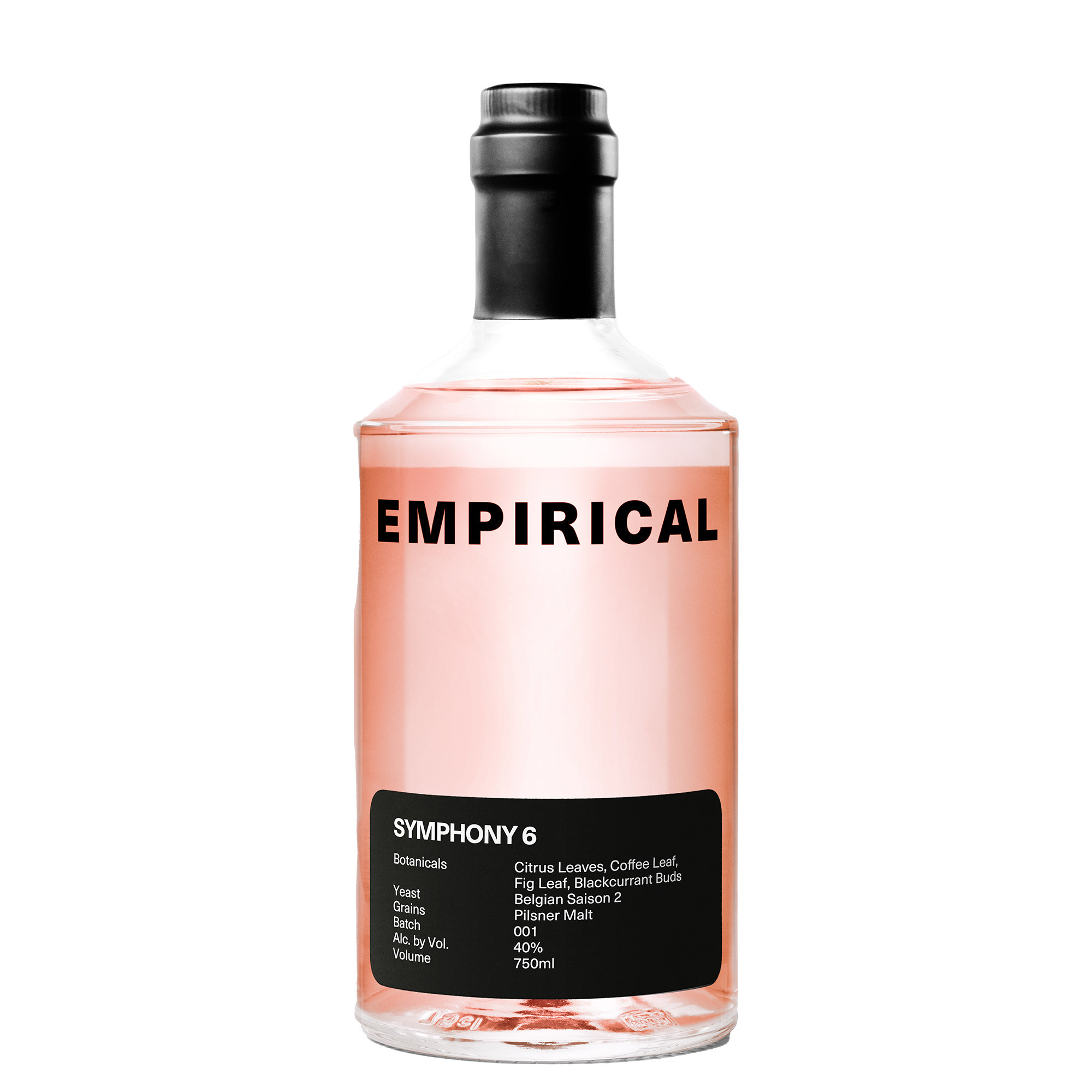 EMPIRICAL SYMPHONY 6