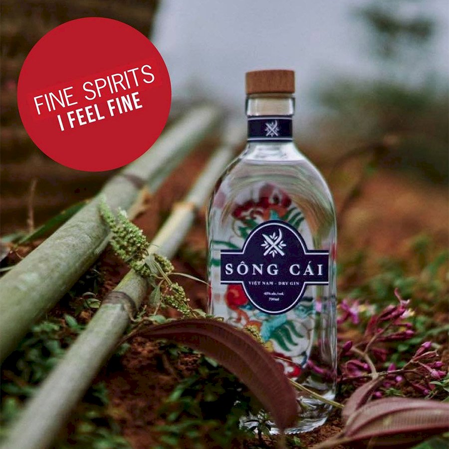 Gin